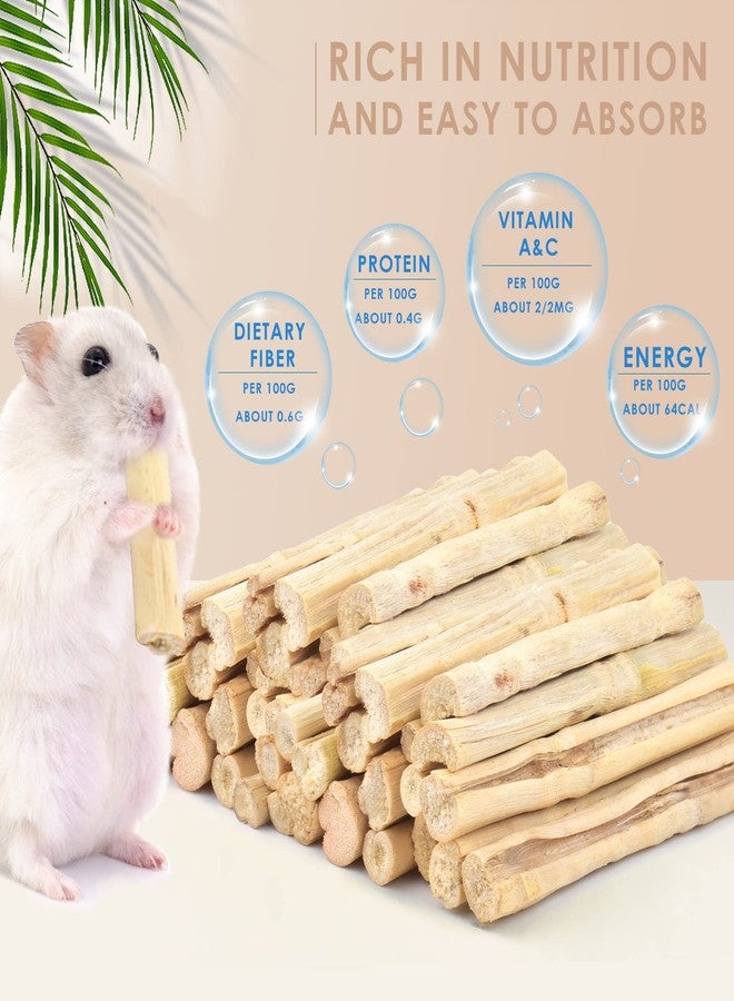 Bissap 700g/1.5Ib Sweet Bamboo Chew Sticks for Rabbits, Bunny Chewing Sticks for Rabbits Hamster Chinchilla Guinea Pigs Rabbit Small Animals Natural Treats Teeth Grinding Toys - Image 2